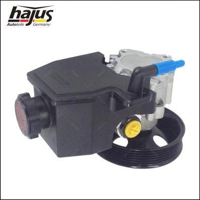 Hydraulic Pump, steering system Hajus 4221026