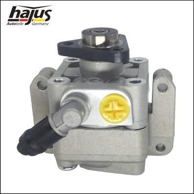 Hajus 4221041 Hydraulic Pump, steering system 4221041