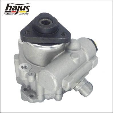 Hajus 4221039 Hydraulic Pump, steering system 4221039