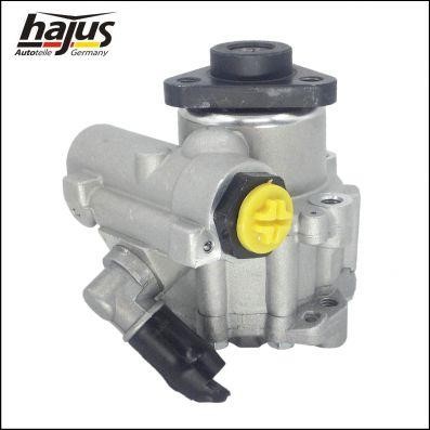 Hydraulic Pump, steering system Hajus 4221039