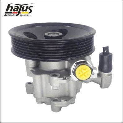 Hydraulic Pump, steering system Hajus 4221033