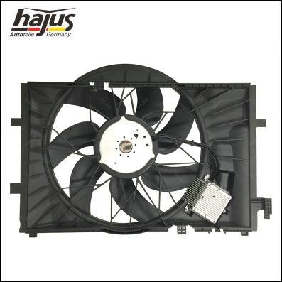Hub, engine cooling fan wheel Hajus 1211337