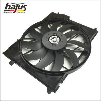 Hub, engine cooling fan wheel Hajus 1211336