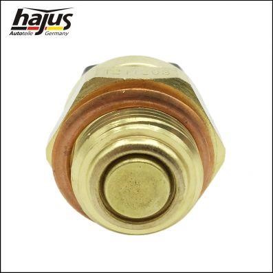 Buy Hajus 1211203 at a low price in United Arab Emirates!