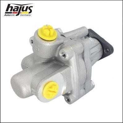 Hydraulic Pump, steering system Hajus 4221022
