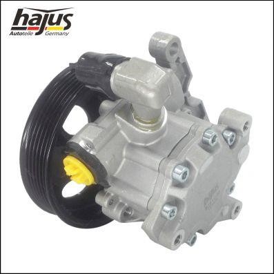 Hydraulic Pump, steering system Hajus 4221036