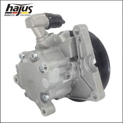 Hajus 4221036 Hydraulic Pump, steering system 4221036