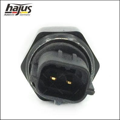 Buy Hajus 9191010 at a low price in United Arab Emirates!