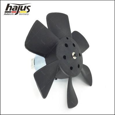 Buy Hajus 1211049 at a low price in United Arab Emirates!