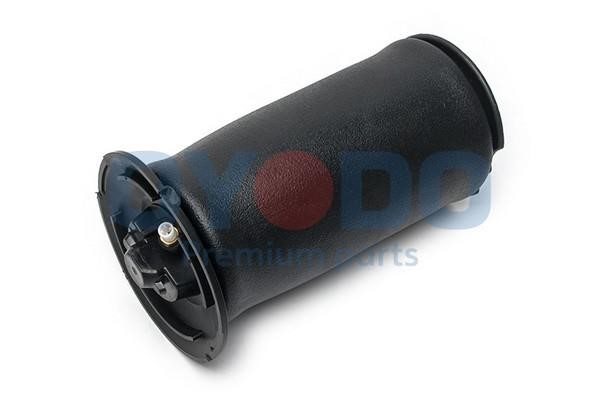 40A0003OYO Oyodo Air Spring, suspension