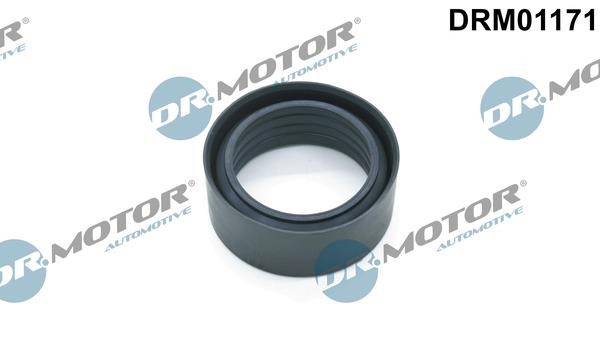 DRM01171 Dr.Motor Turbocharger sealing ring