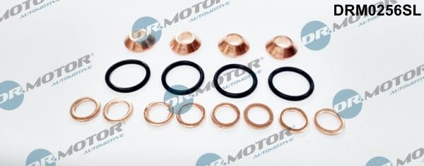 Dr.Motor DRM0256SL Seal Kit, injector nozzle DRM0256SL