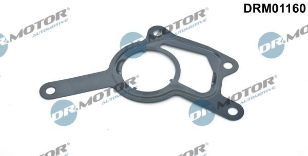 Dr.Motor DRM01160 Vacuum pump gasket DRM01160