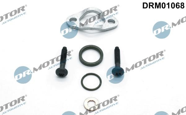 Dr.Motor DRM01068 Bolt and Nut Kit DRM01068