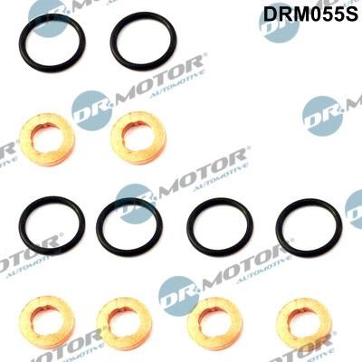 Dr.Motor DRM055S Seal Kit, injector nozzle DRM055S