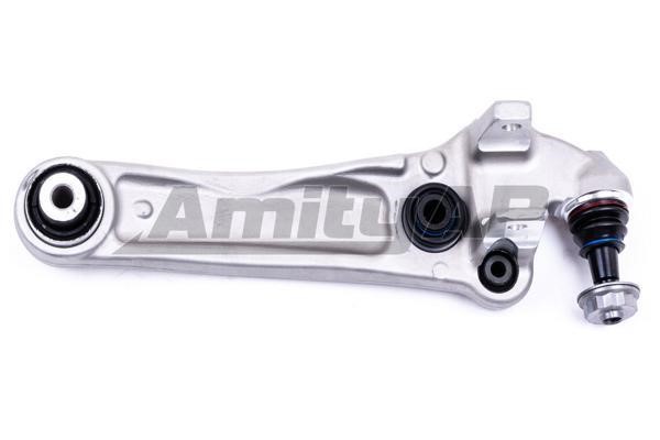 Amity AP 28-SA-1034 Track Control Arm 28SA1034