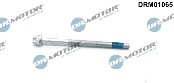 Dr.Motor DRM01065 Screw, injection nozzle holder DRM01065
