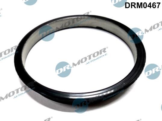 Dr.Motor DRM0467 O-ring of the vacuum pump DRM0467