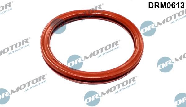 Dr.Motor DRM0613 GASKET THROTTLE BODY DRM0613 DRM0613 Dr.Motor GASKET THROTTLE BODY
