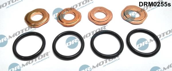 Dr.Motor DRM0255S Fuel injector repair kit DRM0255S