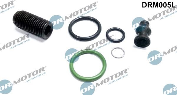 Dr.Motor DRM005L Fuel injector repair kit DRM005L