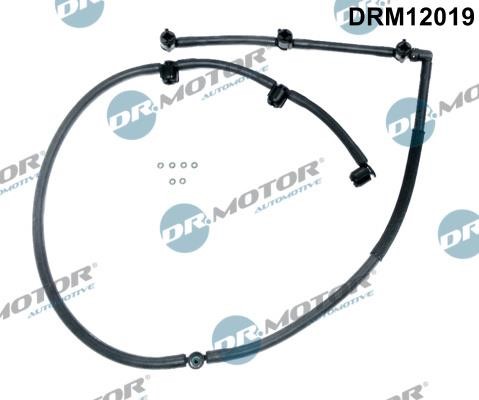 DRM12019 Dr.Motor Hose, fuel system pressure tester