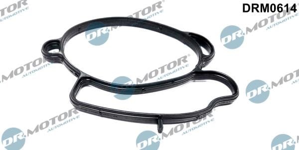 Gaskets Ford Transit: DRM0614 Dr.Motor GASKET THROTTLE BODY