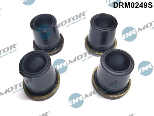 Dr.Motor DRM0249S Seal, injector holder DRM0249S
