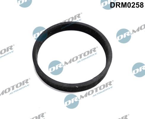 Dr.Motor DRM0258 Turbine gasket DRM0258