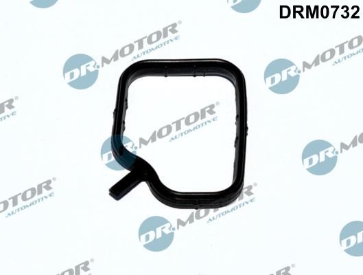 Dr.Motor DRM0732 Seal, coolant pipe DRM0732