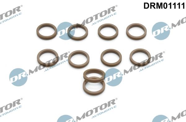 O-rings Citroen: DRM01111 Dr.Motor O-rings, set