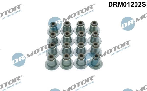 Dr.Motor DRM01202S Valve oil seals, kit DRM01202S