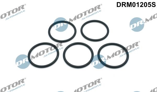 Dr.Motor DRM01205S Gasket Set, water pump DRM01205S