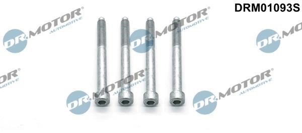 DRM01093S Dr.Motor Fuel injector mounting bolt