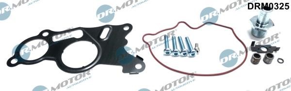 Dr.Motor DRM0325 Repair Set, vacuum pump (braking system) DRM0325