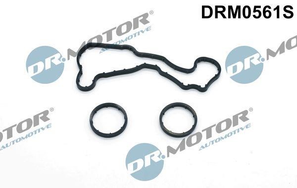 Dr.Motor DRM0561S Seal, oil cooler DRM0561S