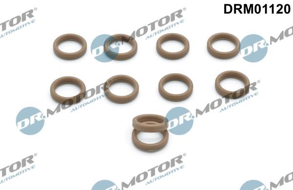 O-rings Citroen C8: DRM01120 Dr.Motor Sealing rings, kit