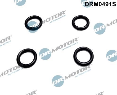 Dr.Motor DRM0491S Seal Ring, nozzle holder DRM0491S