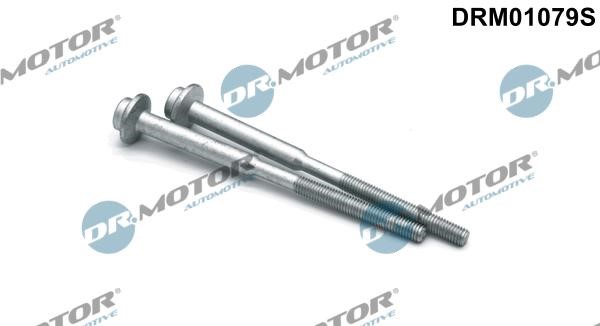 DRM01079S Dr.Motor Screw, injection nozzle holder