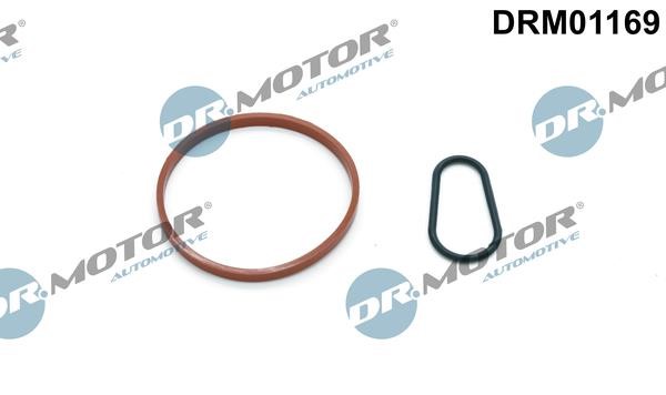 Dr.Motor DRM01169 Seal Set, vacuum pump DRM01169