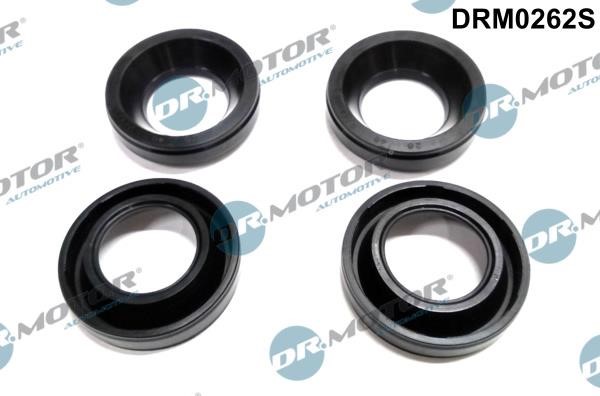 Dr.Motor DRM0262S Seal, injector holder DRM0262S