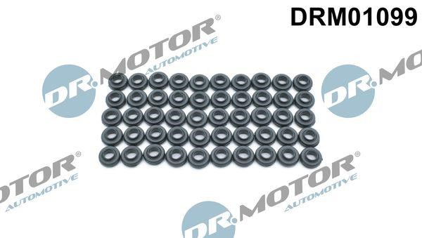 Dr.Motor DRM01099 Seal Ring, cylinder head cover bolt DRM01099