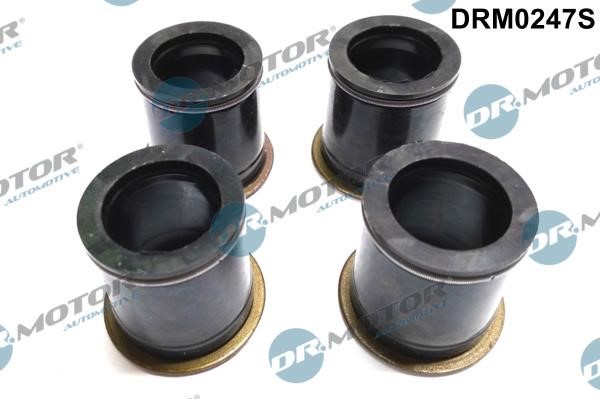 Dr.Motor DRM0247S Seal, injector holder DRM0247S