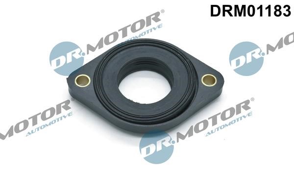 Dr.Motor DRM01183 Seal, camshaft adjustment DRM01183