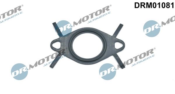 Dr.Motor DRM01081 Gasket, EGR valve pipe DRM01081