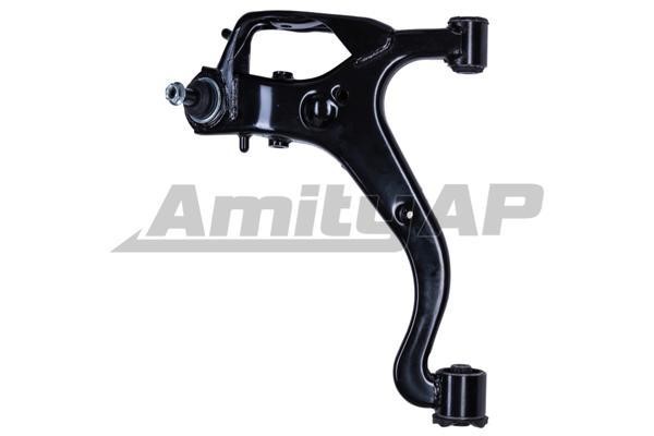 Amity AP 28-SA-0102 Track Control Arm 28SA0102