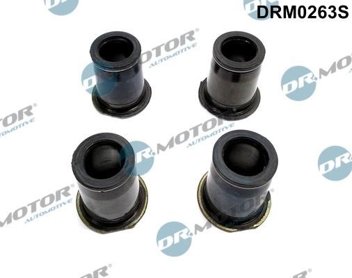 Dr.Motor DRM0263S Seal Kit, injector nozzle DRM0263S