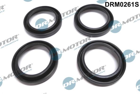 Dr.Motor DRM0261S O-rings for fuel injectors, set DRM0261S