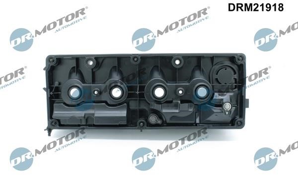 Cylinder Head Cover Dr.Motor DRM21918