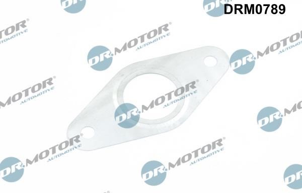 Dr.Motor DRM0789 Gasket Set, EGR system DRM0789